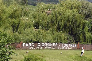 Le parc des cigognes à Hunawihr